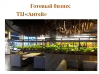 продам арендный бизнес. 450 кв.м. в тц Антей. центр Екб