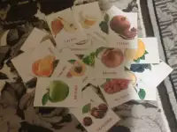 Развивающие карточки для детей, фотография 3