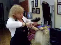 Ищу работу