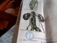 Биорезонансное тестирование вашего здоровья