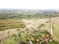 Земельный участок вблизи д. Тозырево Лужский район, фотография 3