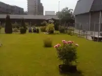 Продаю дачу 6 соток, Заречнвя 9, фотография 4