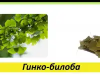 Целебные травы в каждый дом!, фотография 10