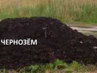 Чернозем,грунт растительный с доставкой самосвалом