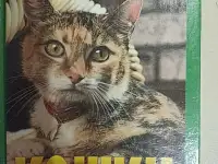 Книга Энциклопедия Кошки. Джино Пуньетти.