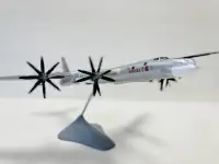 Модель САМОЛЕТА ТУ-95, фотография 4