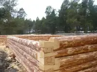 Срубы сосновые под заказ, фотография 2