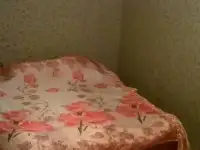 Квартиры посуточно и почасовую аренду на Проспекте Октября, фотография 2