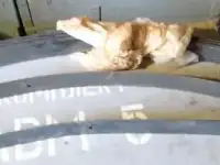 ЗАПЧАСТИ для    