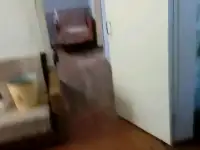 Продам дом с землей, Самарская обл., Кинель-Черкасский район ,поселок птицефабр