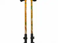 Карбоновые палки для скандинавской ходьбы Ergoforce PRO 0679 