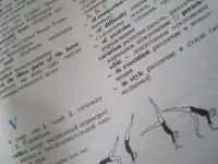 Русско - Английский Спортивный Словарь Разговорник Зимние виды Спорта Russian- English Dictionary Sports Terms Phrases, фотография 11