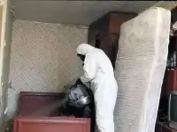 Профессиональная дезинсекция, дератизация, дезинфекция за 1 день, фотография 2