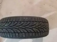 Зимние шипованные 20555R16