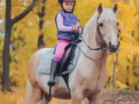 Обучение верховой езде