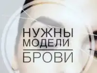 Мастер бровист