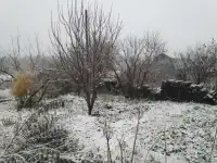 Продам земельный участок 6 соток, пос. Новые Ляды, ИЖС  