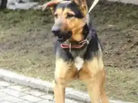 Графу очень нужен дом, который нужно охранять, фотография 6
