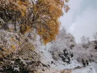 Мега тур в Дагестан, 5 дней 