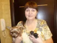 Цветная болонка. Инструктор по вязкам. Роды., фотография 7