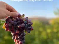 Туры в Дагестан. Колоритно, вкусно, тепло