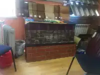 Профнастил Н 10.40 крашенный, фотография 6