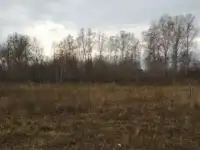 Земельный участок Санниково