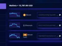 Обращаюсь за помощью в выводе 1,5 биткойнов с биржи