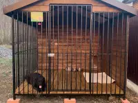 Вольеры и клетки для животных в Челябинске, фотография 8