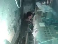 Ремонт, гидроизоляция фундамента, пола, стен, потолка, кровли, фотография 2