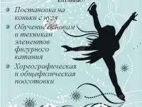 Группы по фигурному катанию