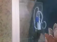 Аквариум, фотография 3