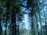 Земельный участок 10 соток в отличном месте д. Железный Перебор Тюменский район, фотография 7