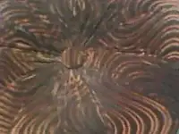 Подушка для отдыха., фотография 3