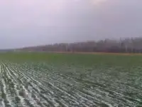 Продам земельный участок в Кстовском районе, область, Кстовский район, д.Горяньково, фотография 5
