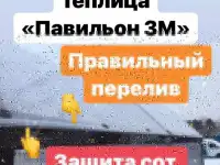 Теплица «Павильон 3М NEW 2019”, фотография 2