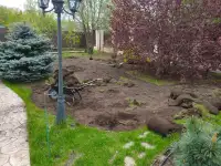 Аренда подрезчика дерна, газона и дикой травы., фотография 2