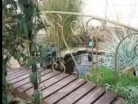 Дом в Краснодарском крае