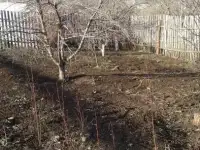 Рассада огурцов, фотография 3