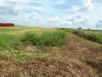 Отсыпка и планировка участков грунтом
