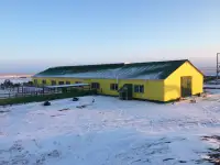 Строительство коровников