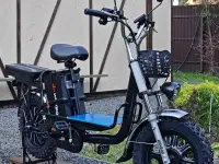 Элeктpoвeлoсипед Wenbох Моnster Снeг РRO
