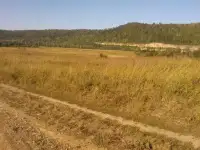 Земля 100 км. от г. Уфы в районе п. Павловка 1176 га, фотография 11