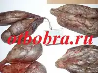 Бобровая струя всегда в наличии