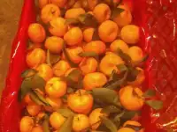 Мандарины сорт Бэби