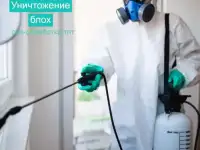 Сан-обработка.тлт, фотография 5