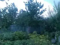 Продается участок, фотография 3