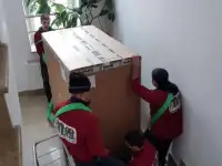 Грузчики команда проф услуги