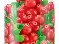 Мясные консервы, паштеты, соусы, специи, масло, приправы, консервы, соленья, варенье, консервация, фотография 3