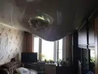 независимая экспертиза